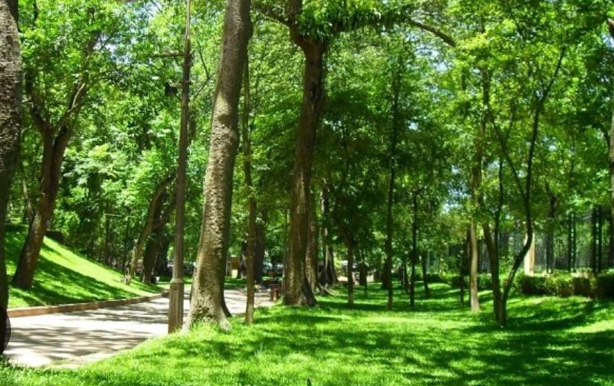 Da Tree Homestay Ханой Екстериор снимка